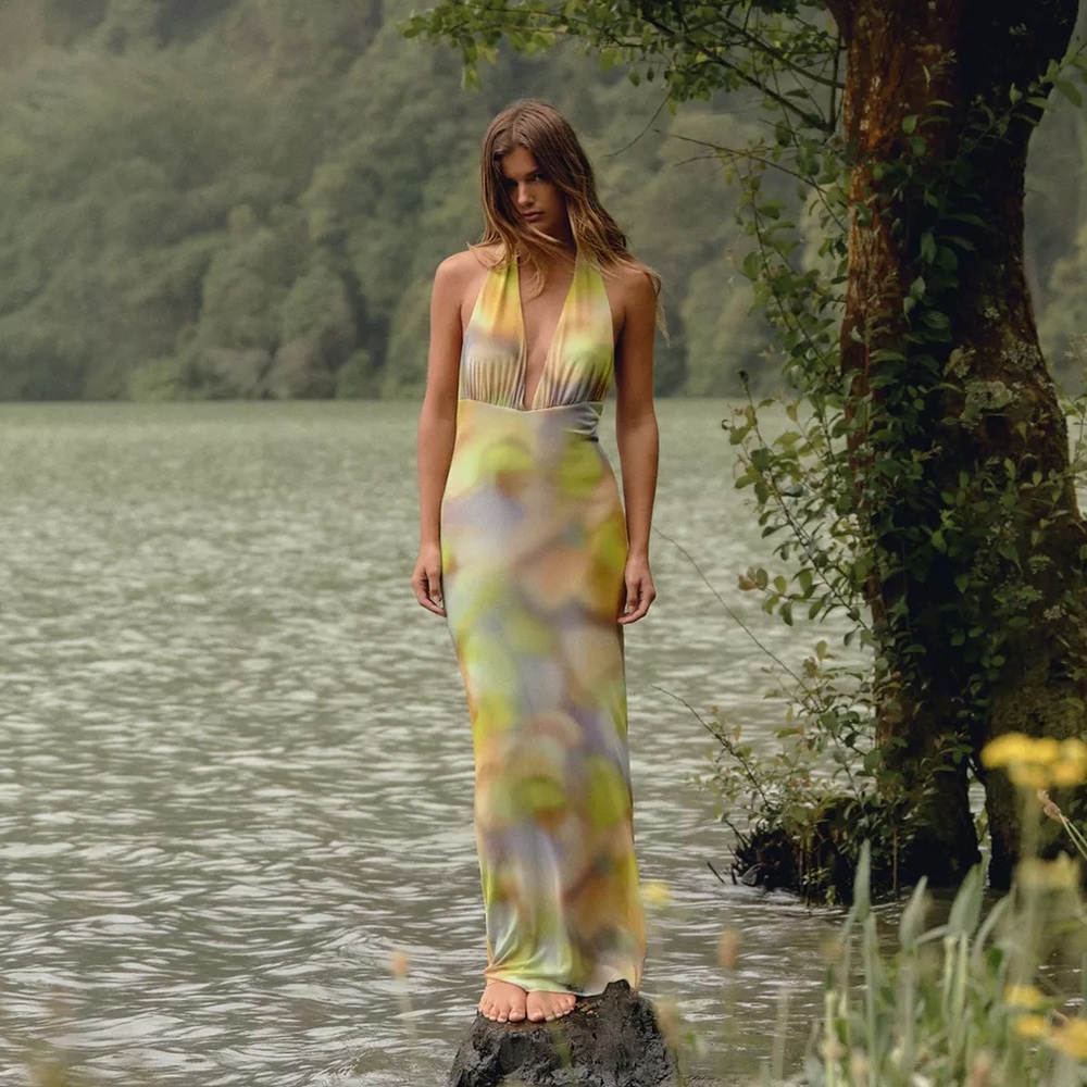 Zara Dress